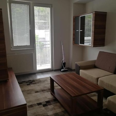 Apartman "K Vystavisku" Apartment Trenčín Екстериор снимка